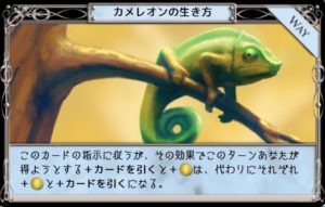 カメレオンの習性　生き方