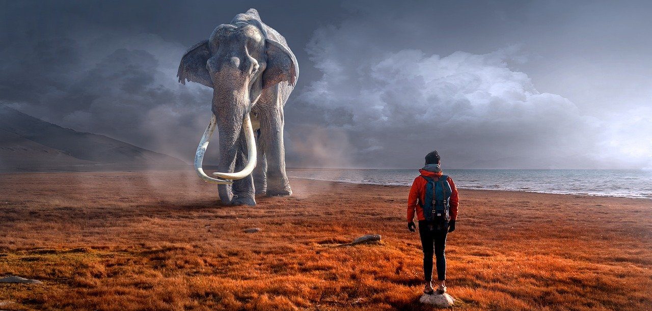 想定外の事態も起こる